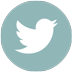 twitter icon